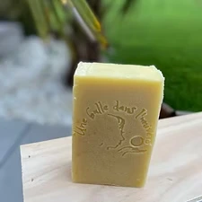 savon solide naturel - Le Thorembee